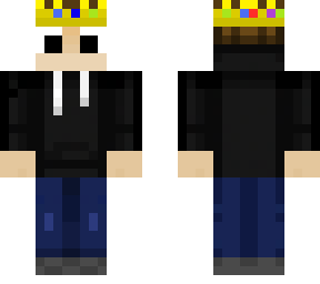 my skin ( with technoblade crown
