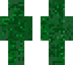 camo skin