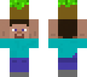 steve holding a block of grass
