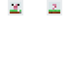 terrarium head
