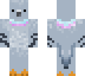 pigeon