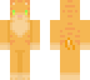 orange cat