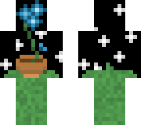 potted plant