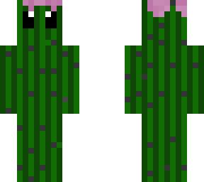 cactus (this is my new one)