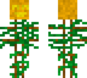 pumpkin kid! (white)
