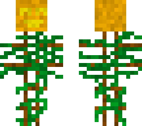 pumpkin kid!