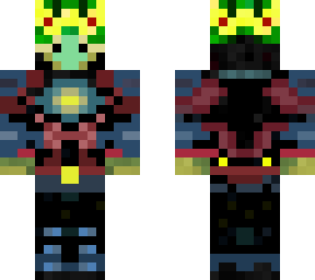 turtle in armor