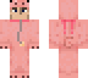 ct22 schpood v1