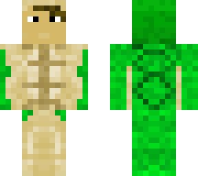 turtle costume