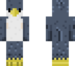 tufted titmouse avian