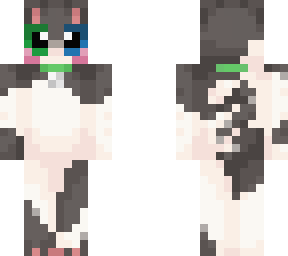 big eyed cat