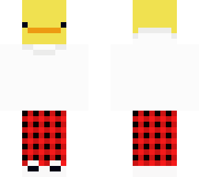 winter duck - sc
