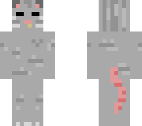 gray rat