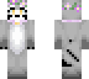 raccoon