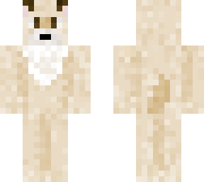signature border terrier