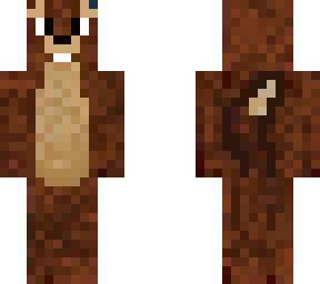 squirrel