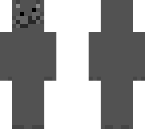 gato