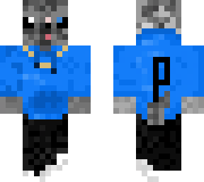 pluto (kashhout dog)