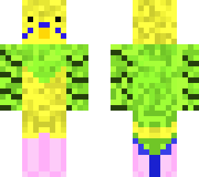 yellow budgie