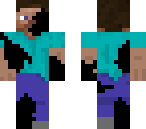 the steve void
