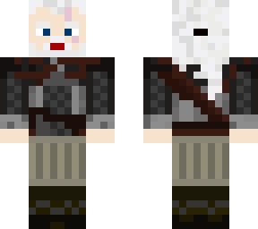knight/ witcher skin