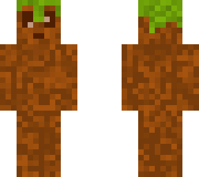 dirt