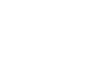 blank canvas