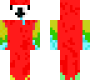 scarlet macaw (parrot)