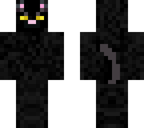 my cat