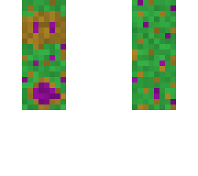 v1.