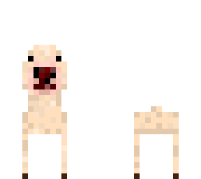 weird dog