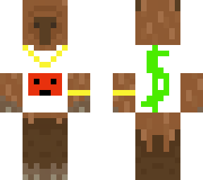 rich capybara