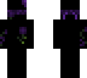 cool minecraft skin i saw on namemc
