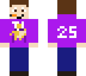 minnesota vikings fan