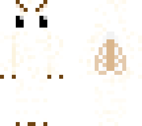 moth