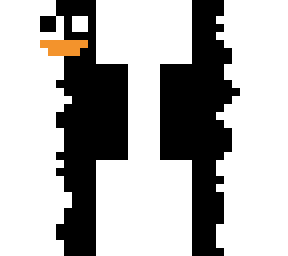 black & white duck