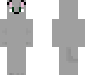 gray cat 2