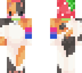 bi calico cat