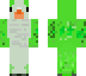quacker parrot