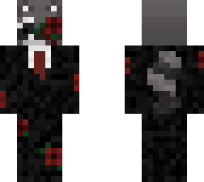 racoon