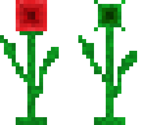 poppy flower