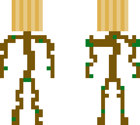 the onion man