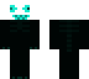 pursuer