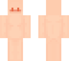blank skin base