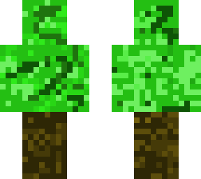 grass and dirt
