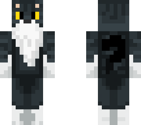 midnight cat