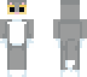 the gray cat
