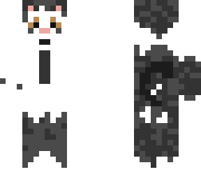 daisy the cat
