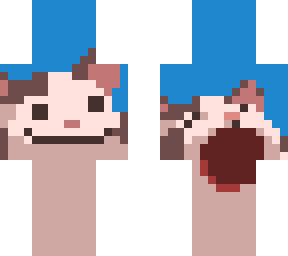 popcat man