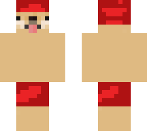 perro en shorts